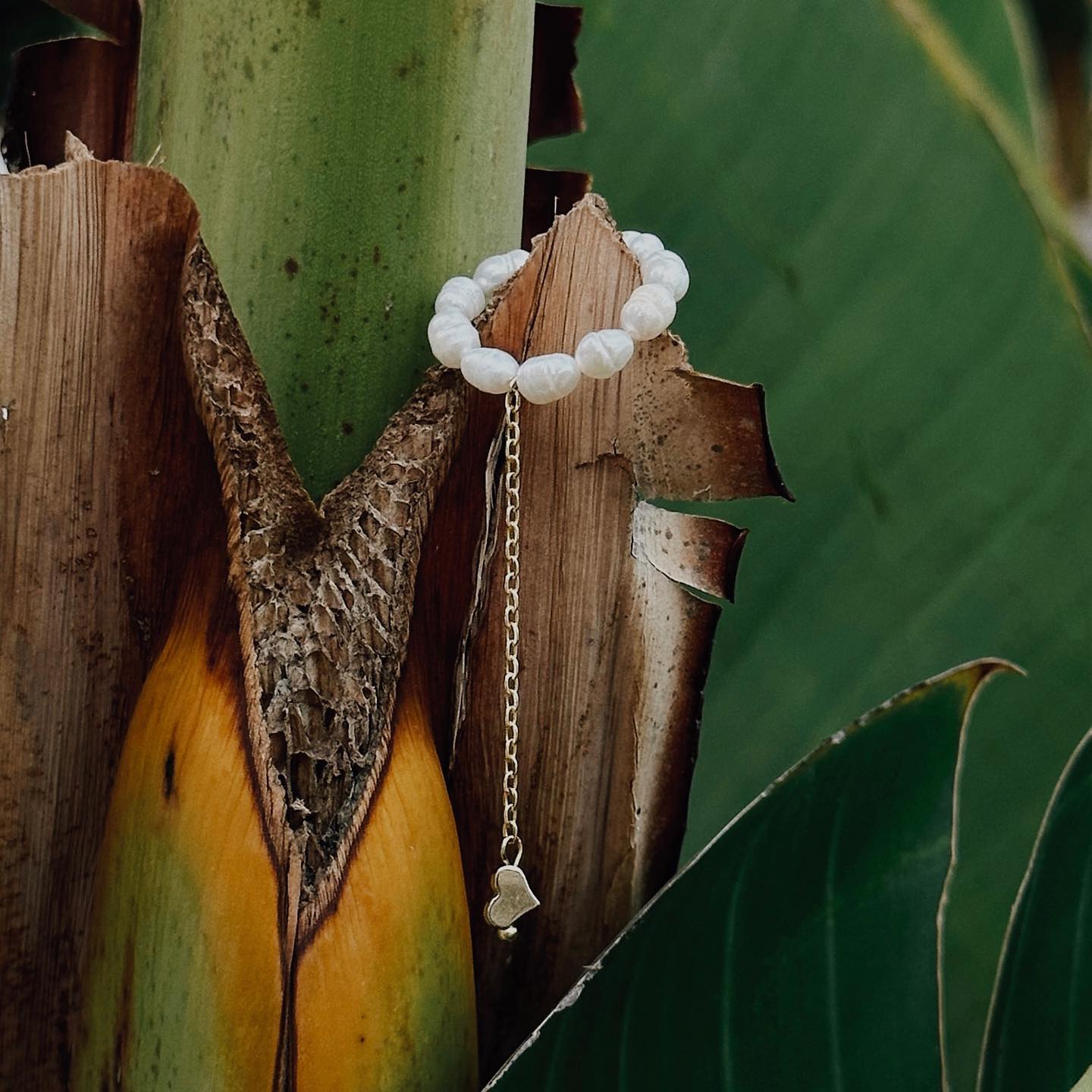 Pearl bracelet on a tropical plant
